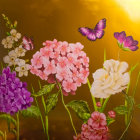 Colorful Butterfly Among Pink and White Dahlias in Sunlit Garden