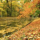 Colorful Autumn Landscape Painting with Winding Path and Serene Water Reflections