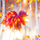 Vibrant autumn forest illustration with stylized trees and leaves