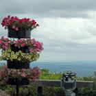 Colorful lakeside floral arrangement with sailboats and hills under clear sky