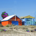 Vibrant beach huts in sand dunes with purple and yellow wildflowers