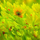 Woman with Yellow Flowers and Cloche Jars in Dreamlike Setting