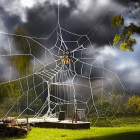 Fantastical scene: giant spider on web-covered treehouse, sheep grazing, floating umbrella-like structures