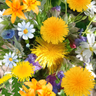 Two Camouflaged Cats Among Vibrant Flowers and Foliage