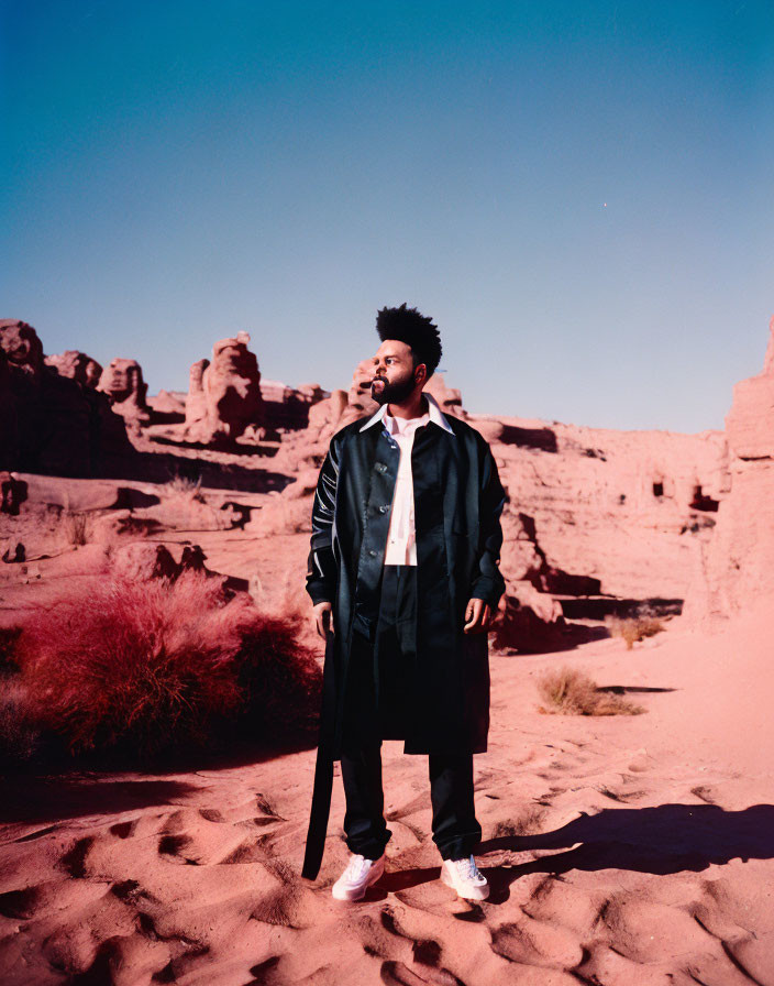 Man standing in desert landscape at twilight with rock formations and clear blue sky