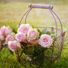 Colorful digital artwork of spherical green plants and pink flowers in a garden setting