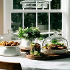 Rustic dining setup with covered dishes, green plants, and window scenery