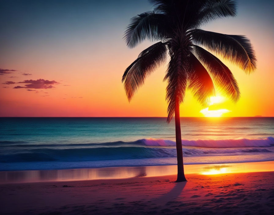 Tropical palm tree silhouette at sunset over calm ocean