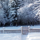 Snowy Trees Landscape Painting with Picket Fence & Snow Tracks