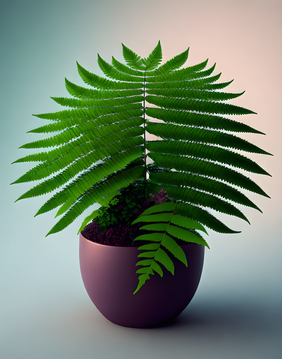 Green fern in purple pot on gradient background with symmetrical fronds.