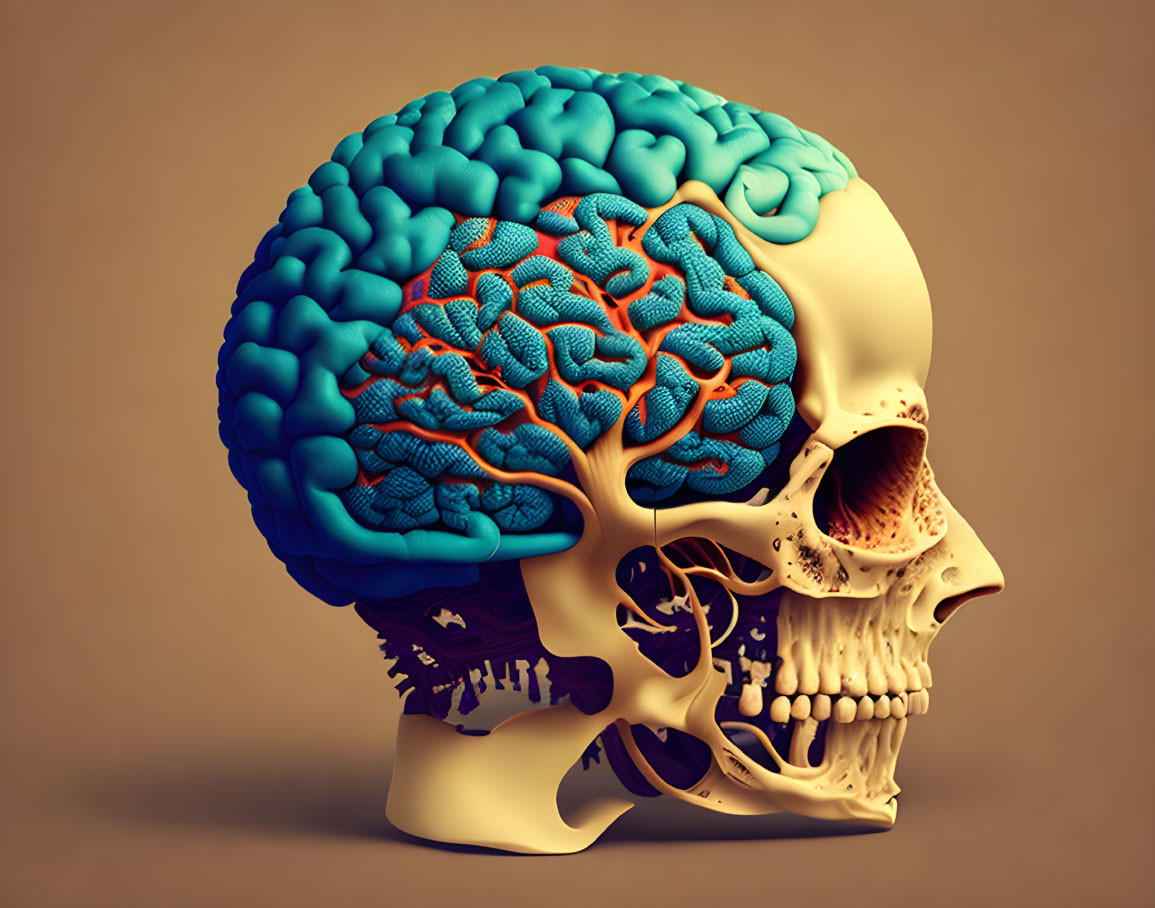 Skull with Blue Brain and Orange Neural Network on Brown Background