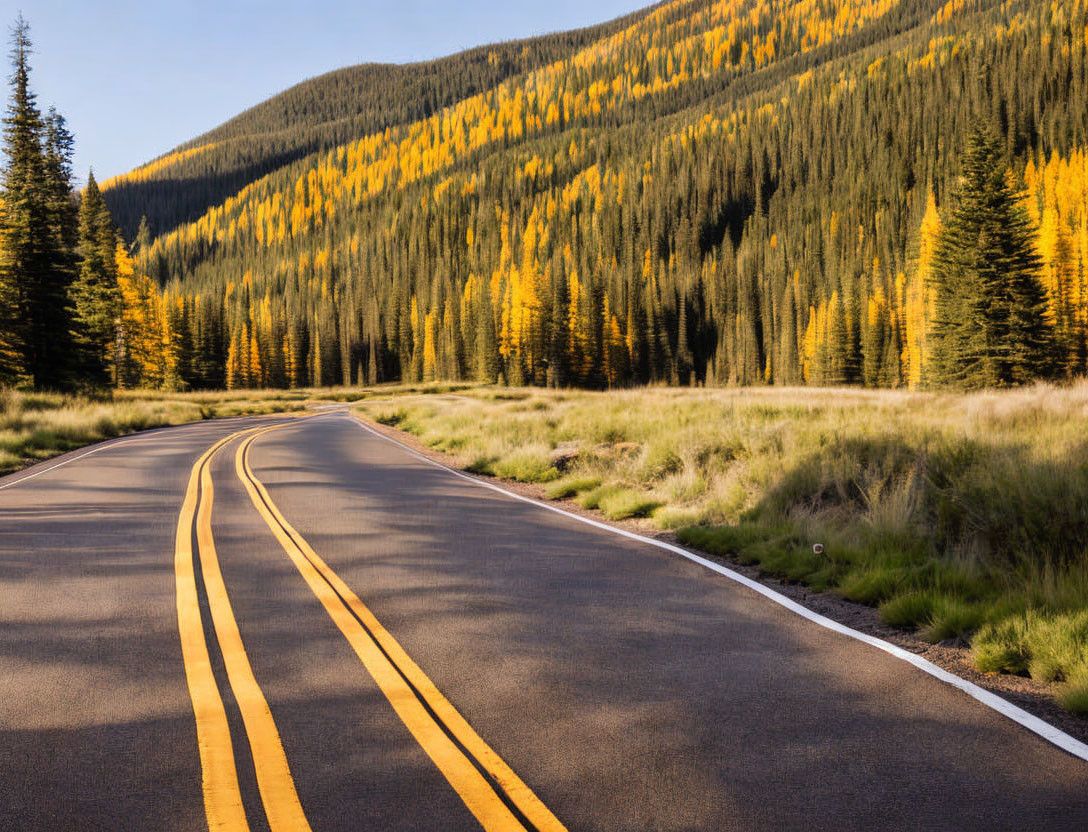 Scenic autumn road through lush forests under clear sky