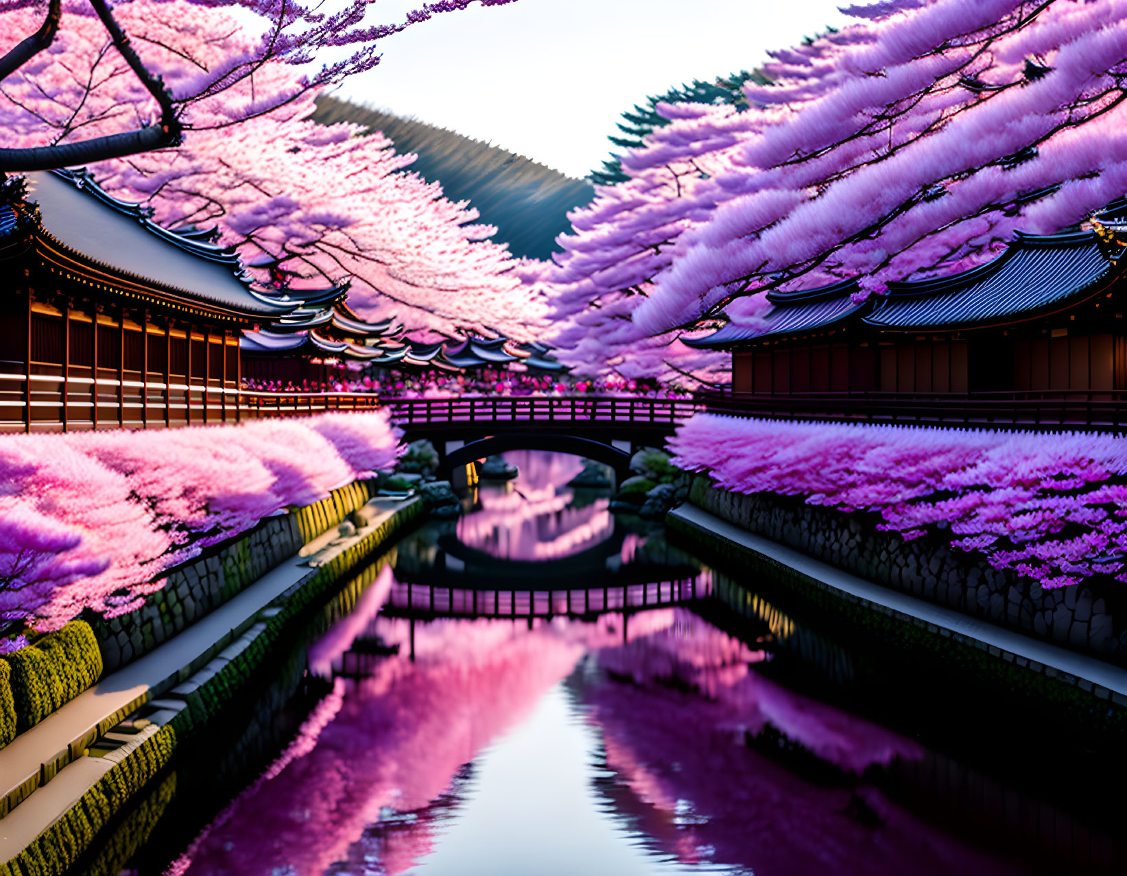 Serene canal with vibrant cherry blossoms and traditional architecture