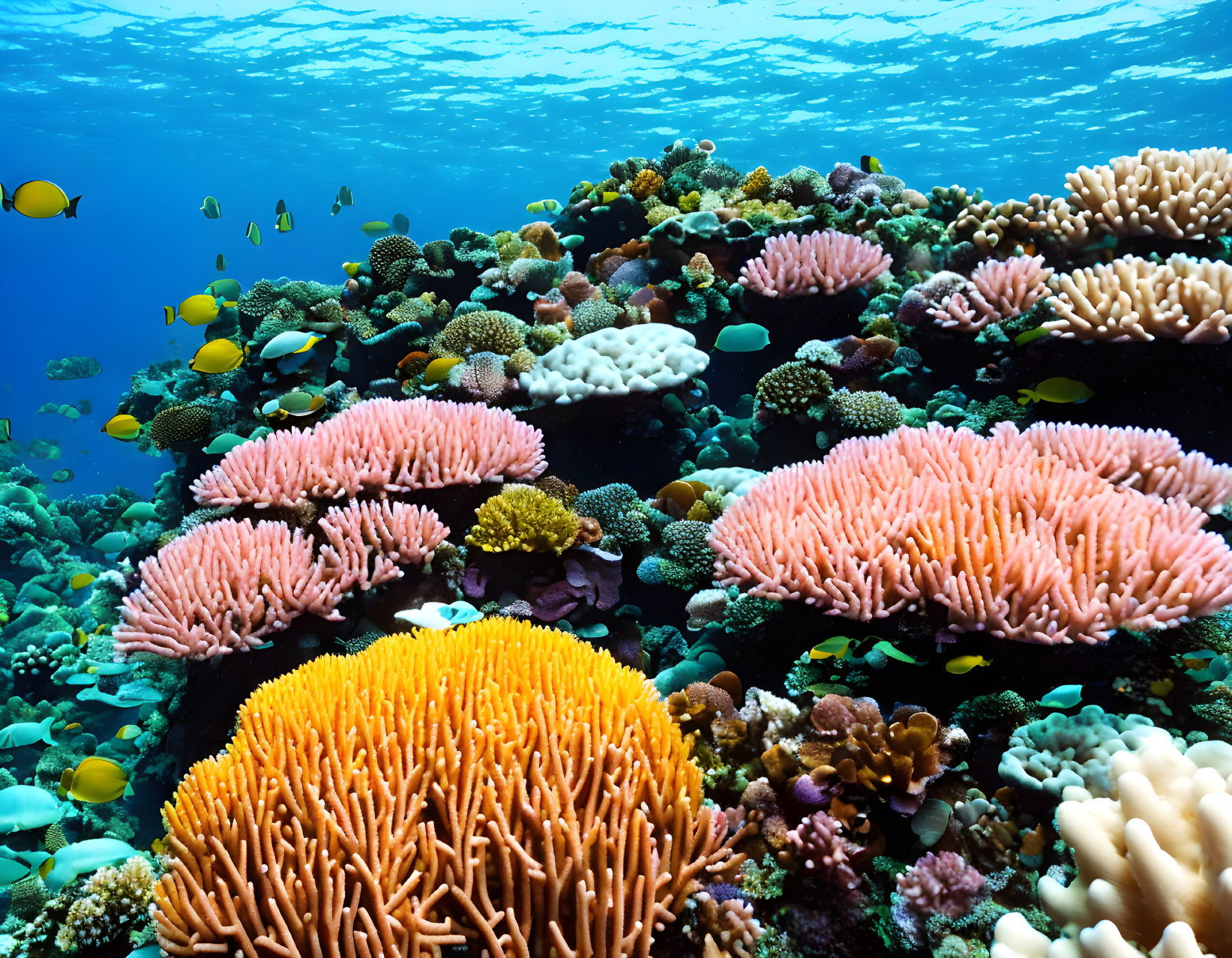 Colorful Coral Reef with Diverse Marine Life in Pink and Orange Hues