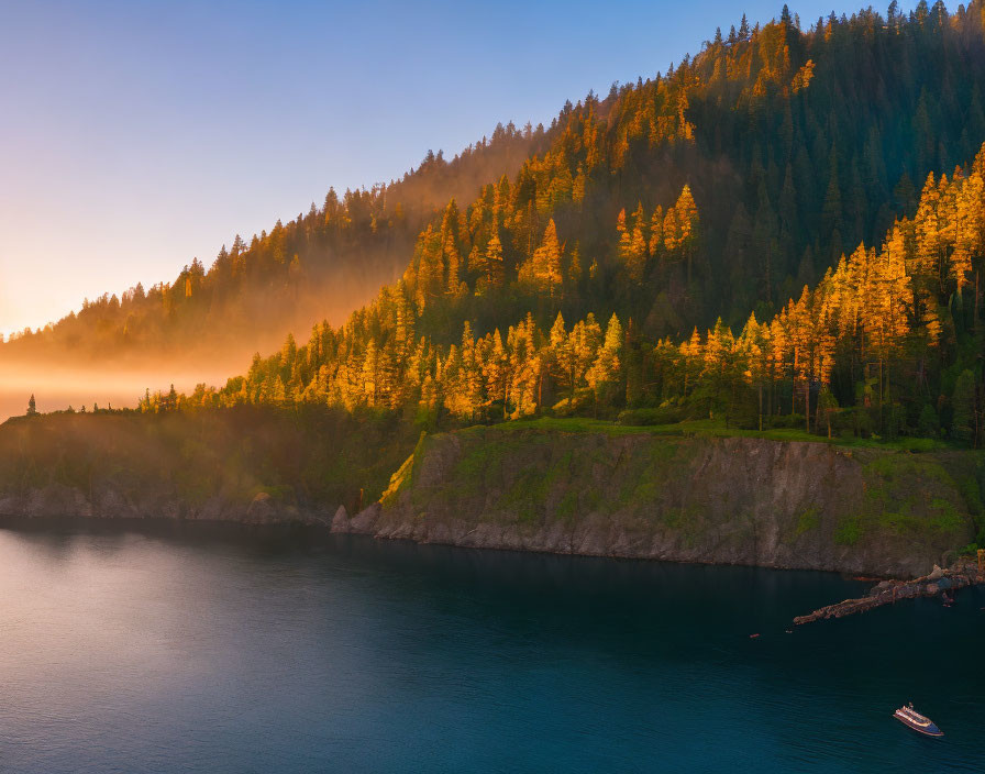 Scenic sunrise over forested hillside and tranquil blue bay