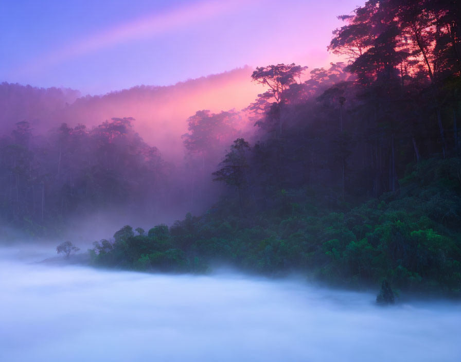 Misty forest at twilight with pink and blue hues