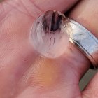 Iridescent insect on human palm displaying shimmering body