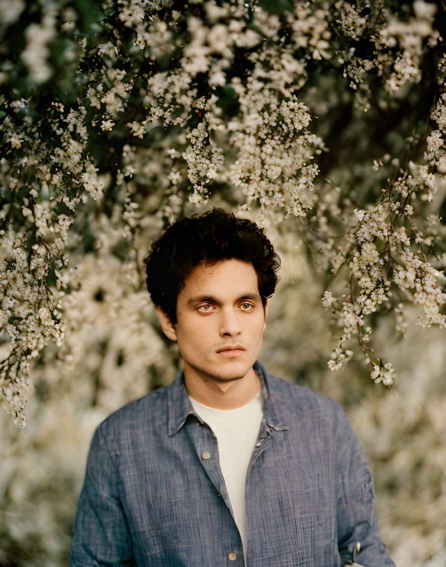 Man with Wavy Hair in Blue Shirt Surrounded by White Blossoms