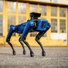 Blue and Black Quadrupedal Robot Outside Building with Yellow Windows