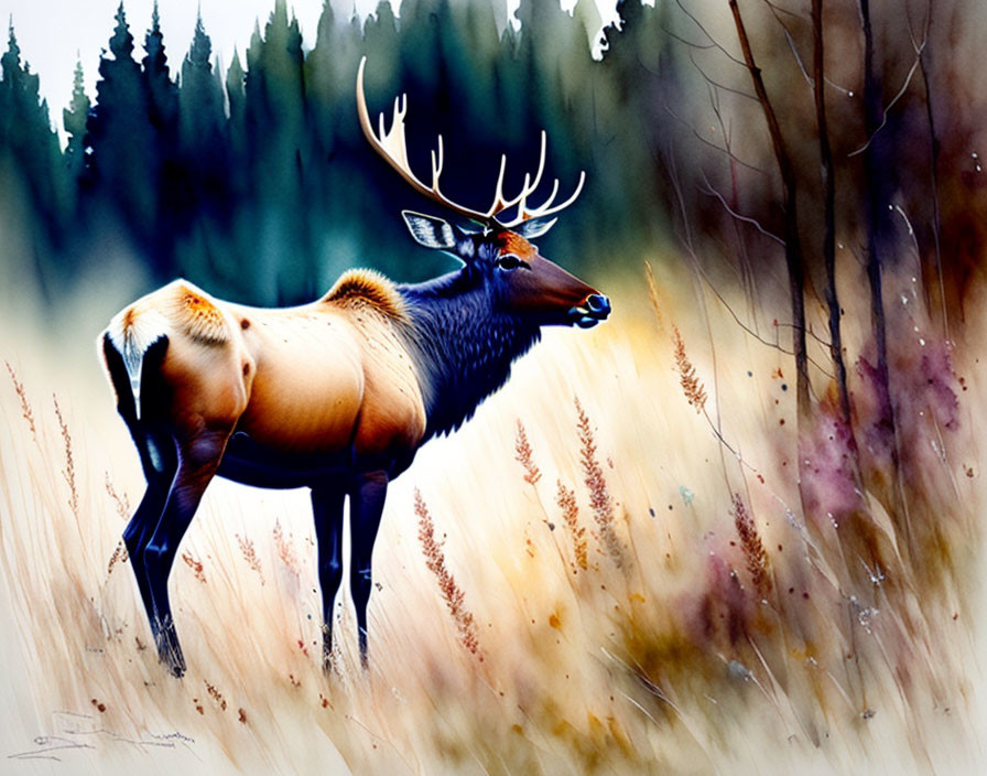 Majestic elk in meadow with forest backdrop and soft focus effect