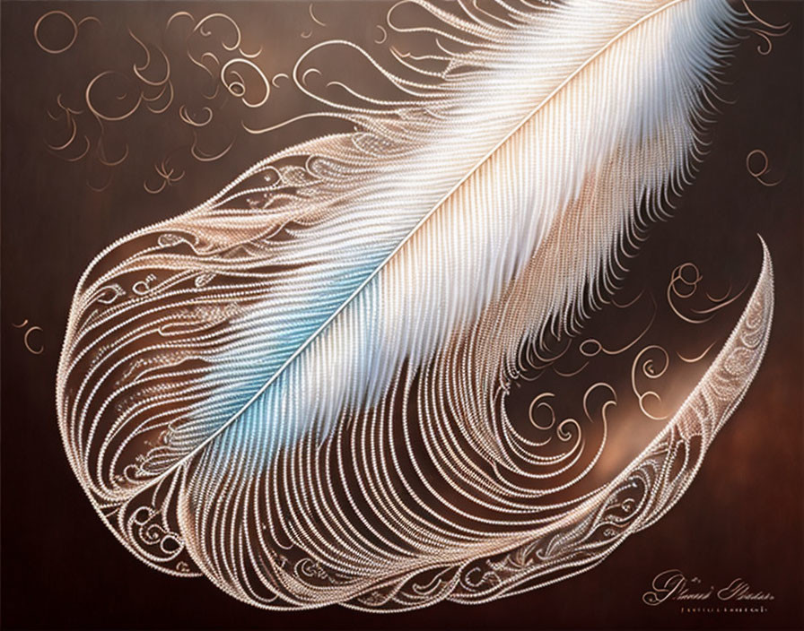 Intricate Blue Feather on Swirling Brown Background