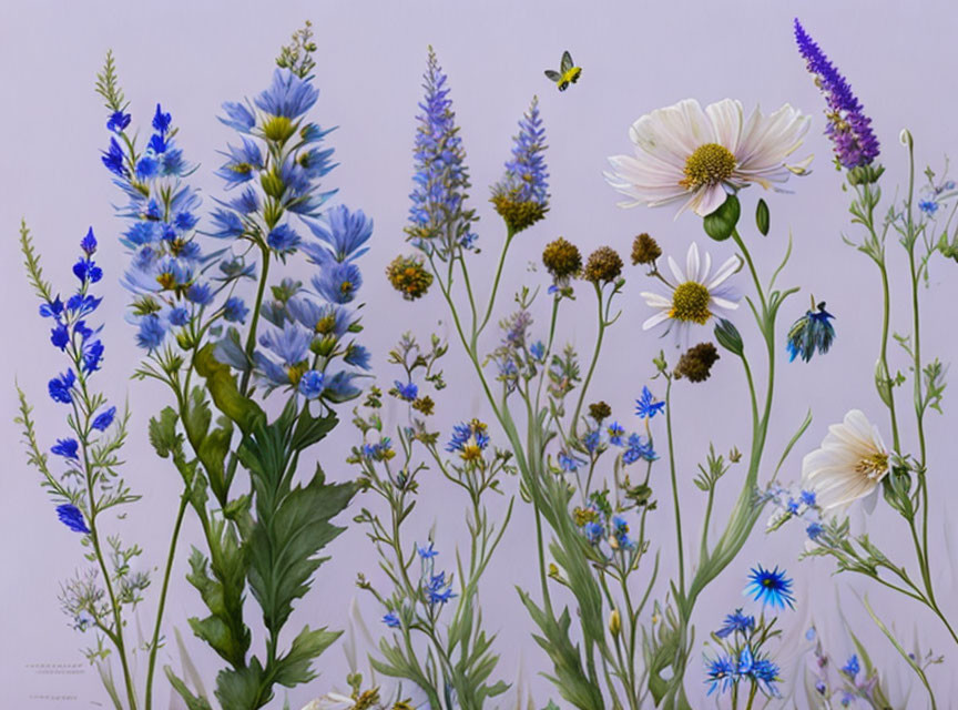 Wildflowers and Butterfly Illustration in Purples and Blues on Lilac Background