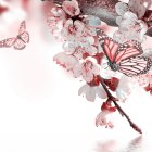 Pink cherry blossoms and butterflies in golden pollen on a soft pale background