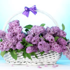 Vibrant flowers in glass vases with peach and fallen petals on blue backdrop