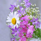 Assorted Flowers Bouquet in Clear Glass Vase on Lilac Background