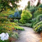 Lush Garden Path with Vibrant Flowers in Colorful Forest