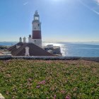 Grassy coast with two lighthouses, boat, and wildflowers