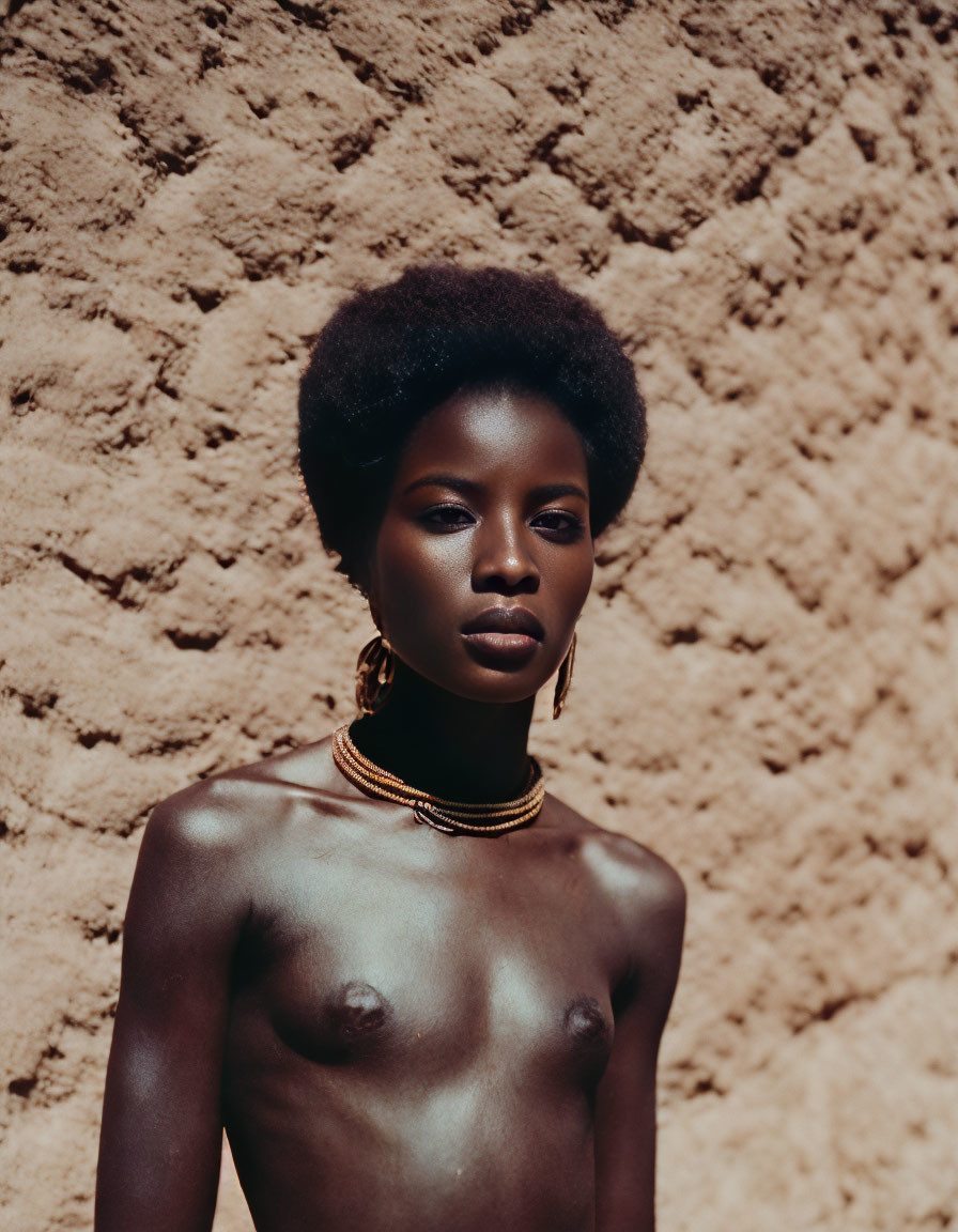 Woman with Afro Hairstyle and Gold Neck Jewelry Against Earthen Wall