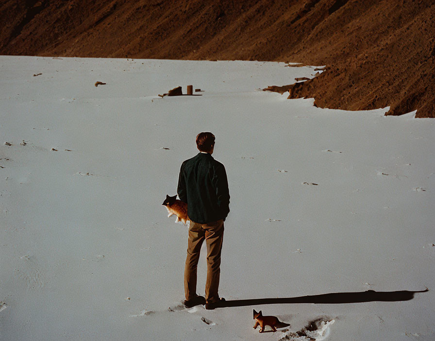 Person standing in snow with shadow, small fox-like animal, barren hills