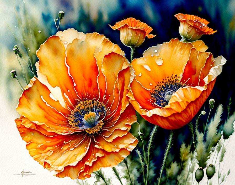 Colorful Watercolor Painting: Orange Poppies with Dewdrops on Petals