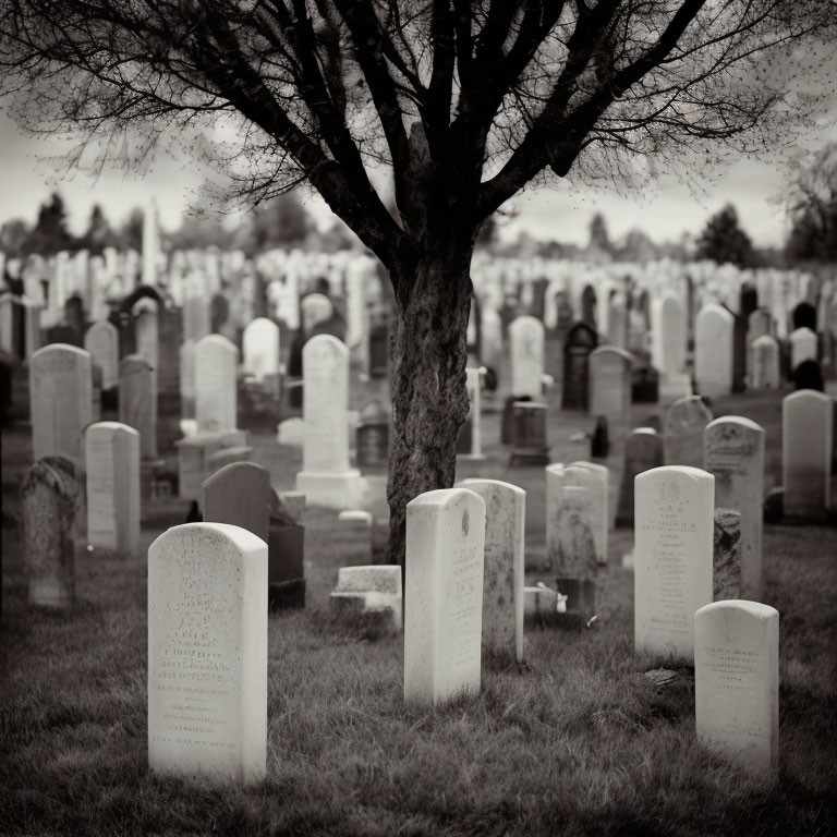 Black and white photo of cemetery with tombstones under bare tree