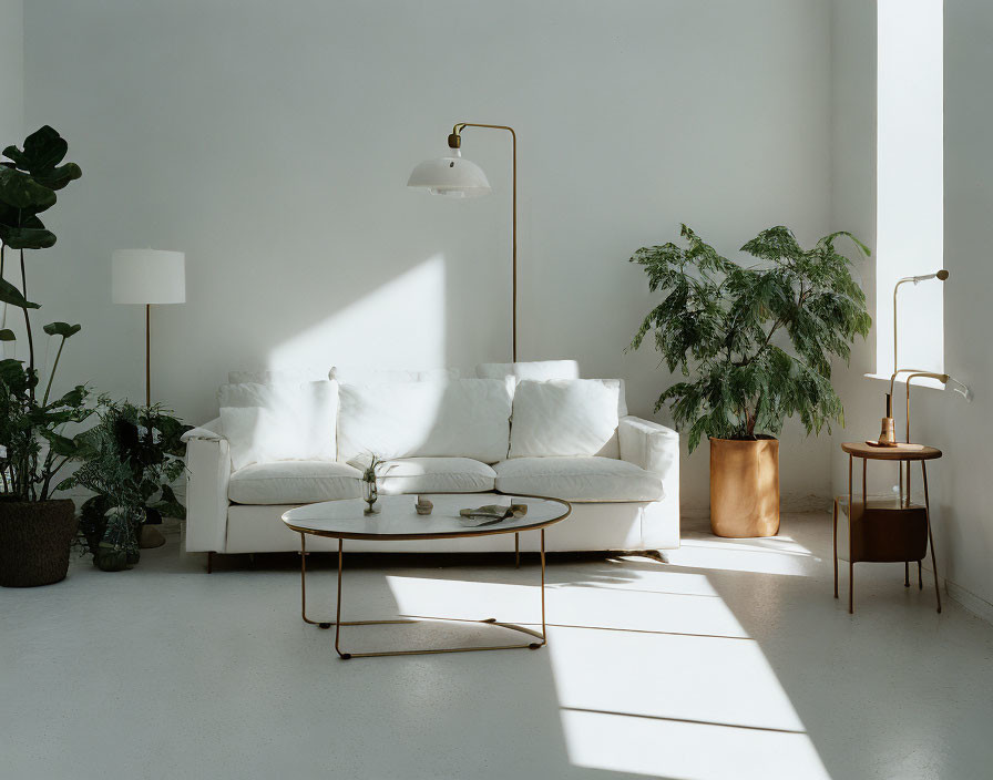 Minimalist Living Room with White Couch, Round Coffee Table, Indoor Plants, and Natural Sunlight