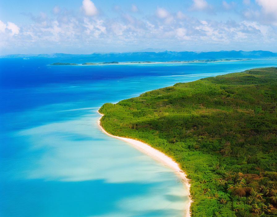 Lush Green Coastline with Sandy Beach and Tropical Forest View