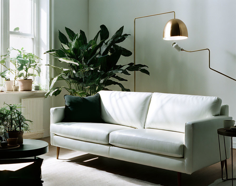 White Sofa, Plants, Coffee Table, Wall Lamp in Cozy Living Room