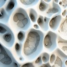 Abstract porous surface in cream and white hues resembling bone or coral.