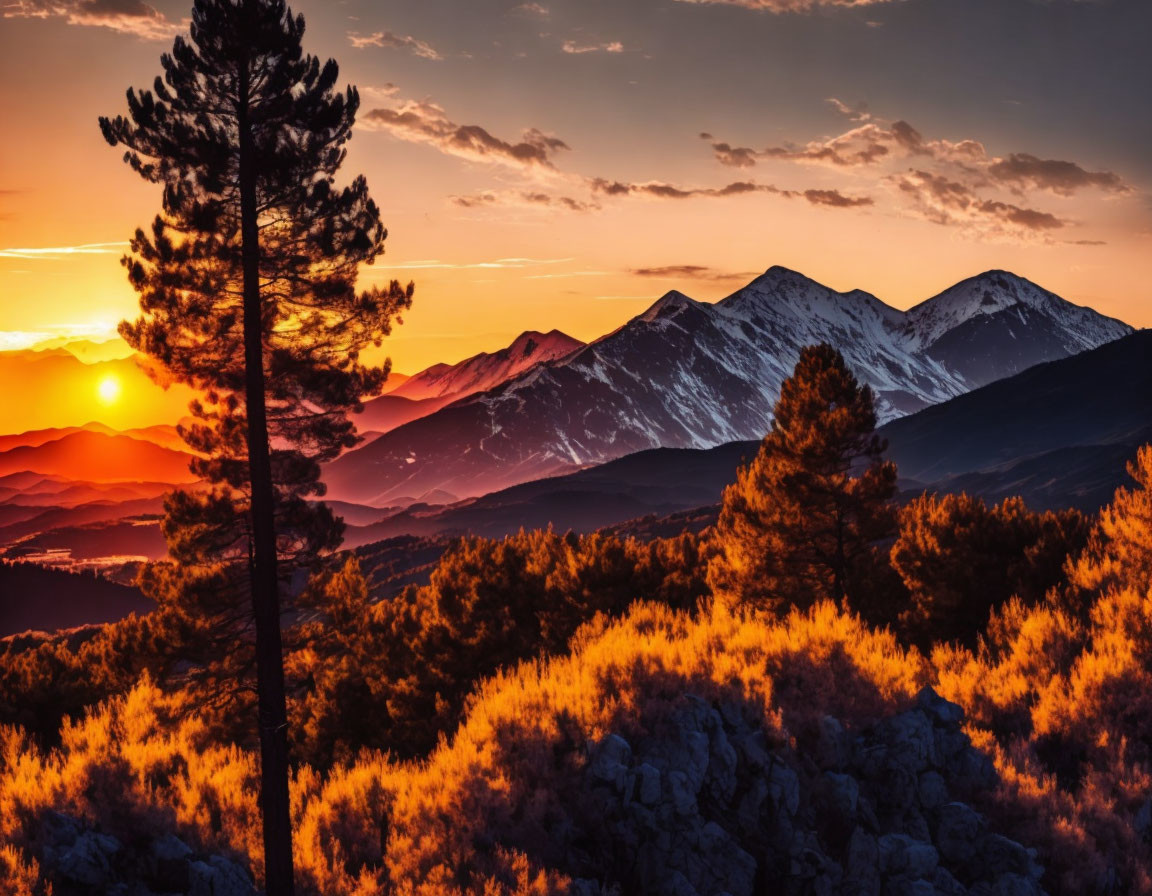 Snow-capped mountains at sunset with orange sky and pine tree silhouette