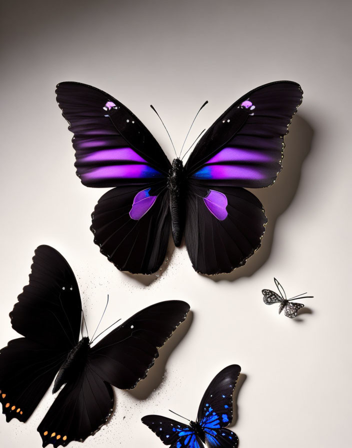 Colorful Butterfly Collection Featuring Purple and Blue Wings