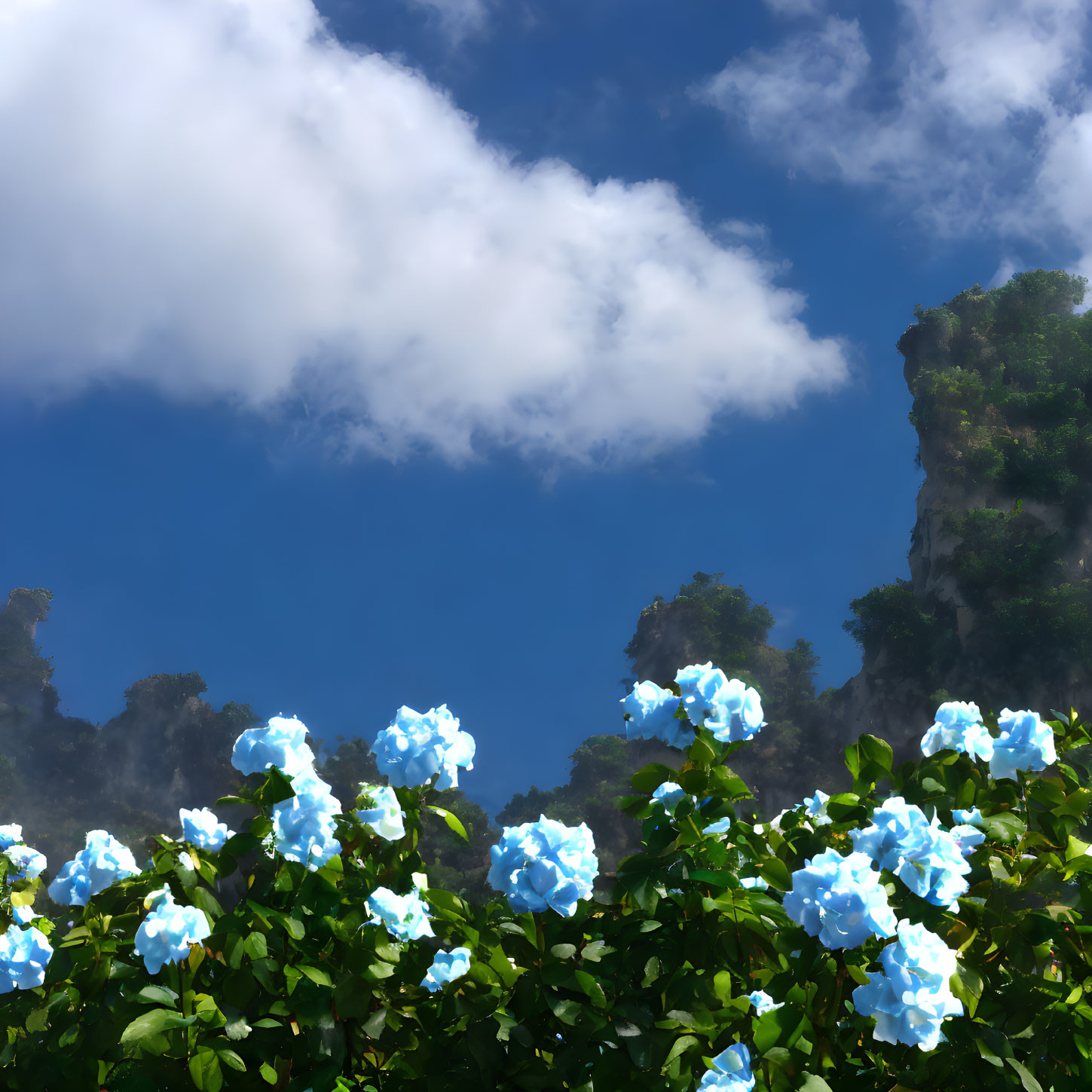 Vibrant blue hydrangeas, green cliffs, and clear blue sky scene