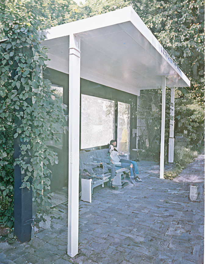 Person sitting on bench in vine-covered bus shelter on sunny day