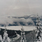 Surreal landscape with swirling clouds, tranquil sea, icy mountains, and coniferous forests