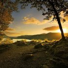 Golden Autumnal Forest with Sunlit Pathway and Rolling Hills