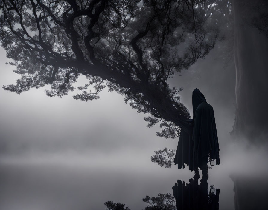 Mysterious cloaked figure under sprawling tree in misty landscape