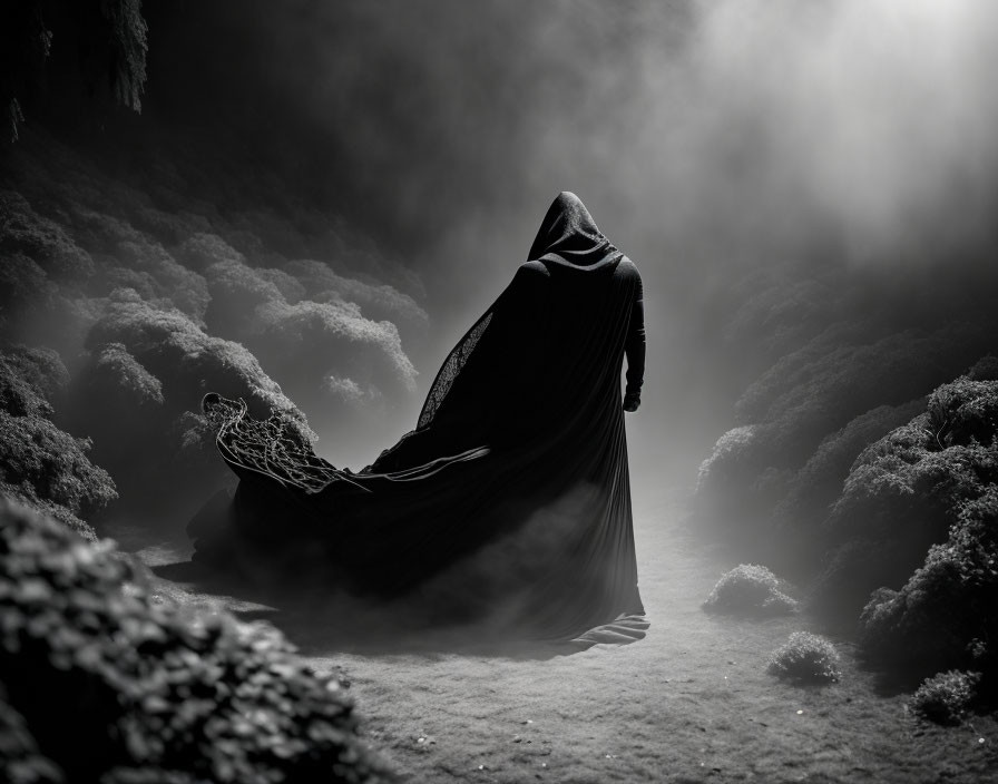 Cloaked figure in misty, surreal terrain with dense foliage