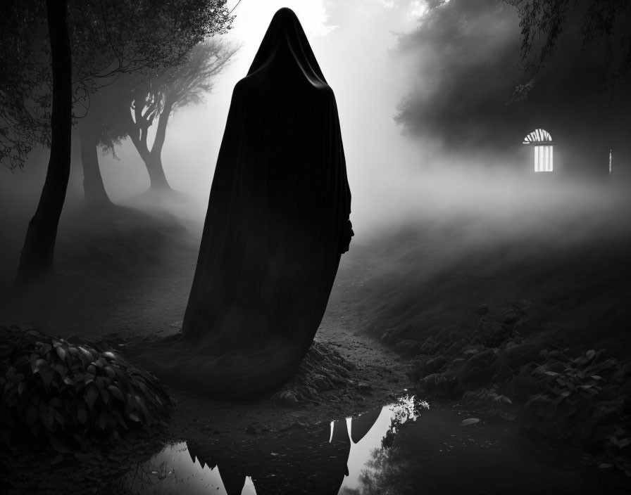 Mysterious cloaked figure in foggy night forest with tree silhouettes.