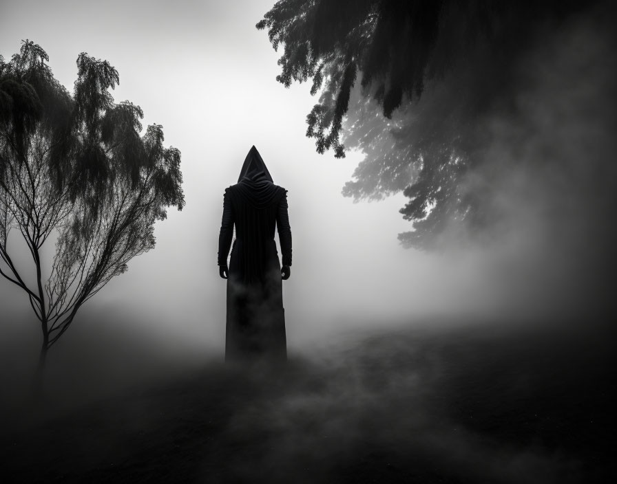 Silhouetted figure in mist with shadowy trees: mysterious atmosphere