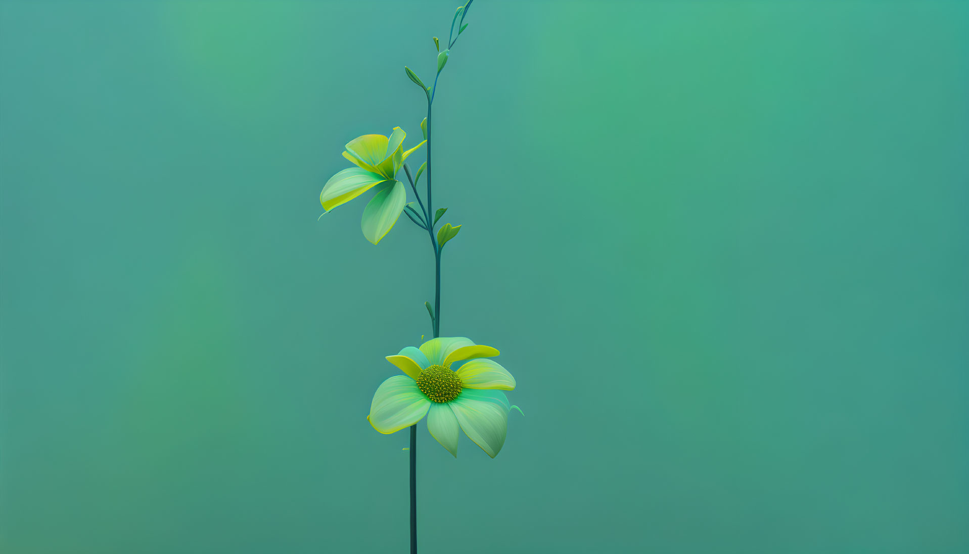 Yellow Flowers on Solitary Stem Against Teal Gradient Background